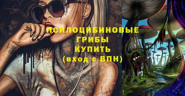 тгк Абдулино