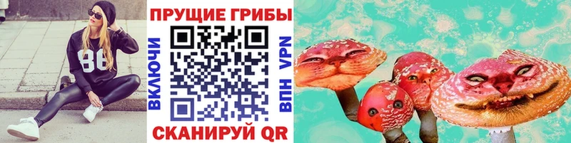 купить наркотики цена mega ссылки Псилоцибиновые грибы Psilocybine cubensis Керчь