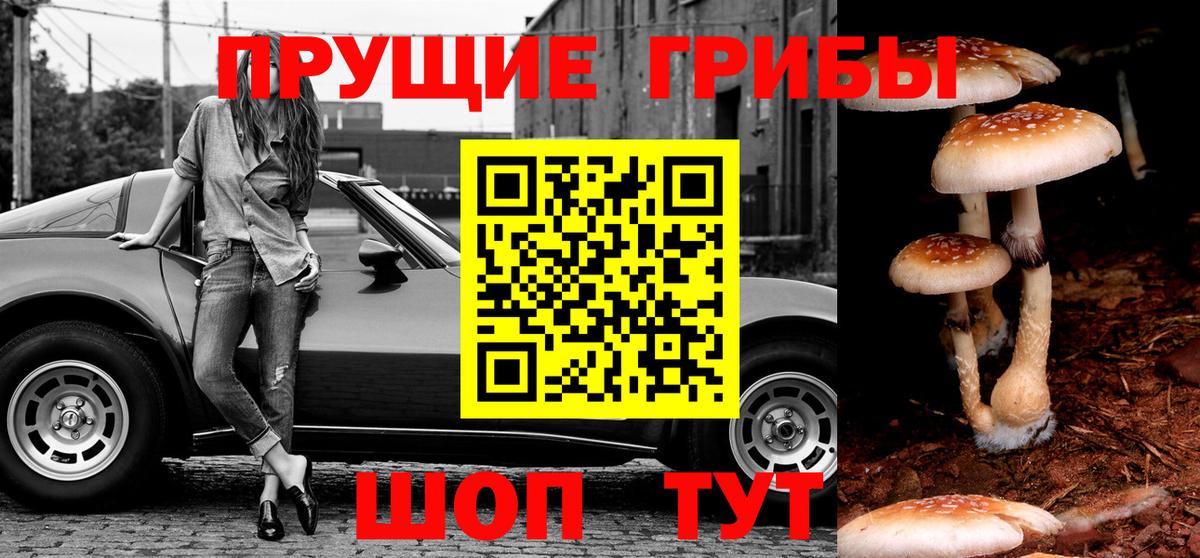 Галлюциногенные грибы Magic Shrooms  Вход с VPN  Керчь  Псилоцибиновые грибы MAGIC MUSHROOMS 